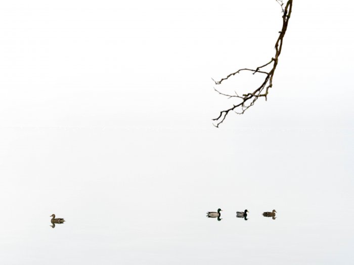 Lago de Banyoles - Girona - España