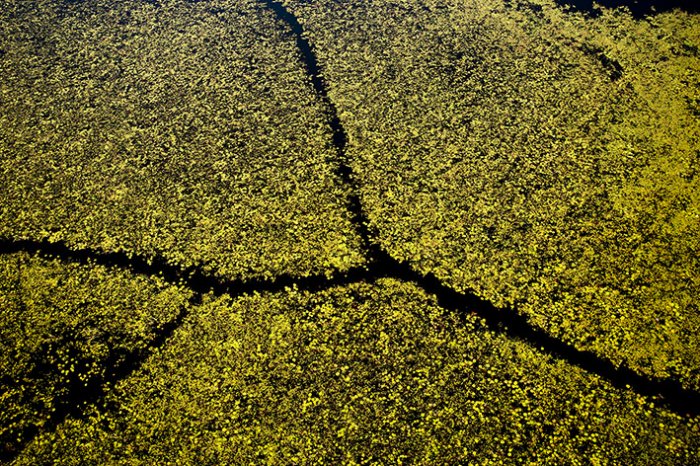 Okavango Delta - Moremi National Park - Botswana