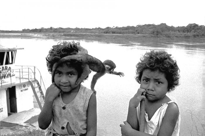 Peruvian Amazon