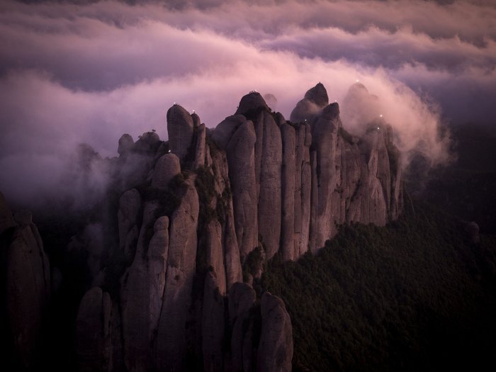 Paisajes evanescentes, la revolución del amarillo