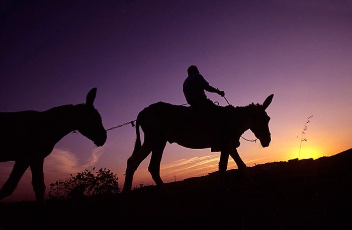 Deleitosa - Extremadura - España