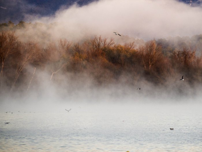 Lake Banyoles - Girona - Spain