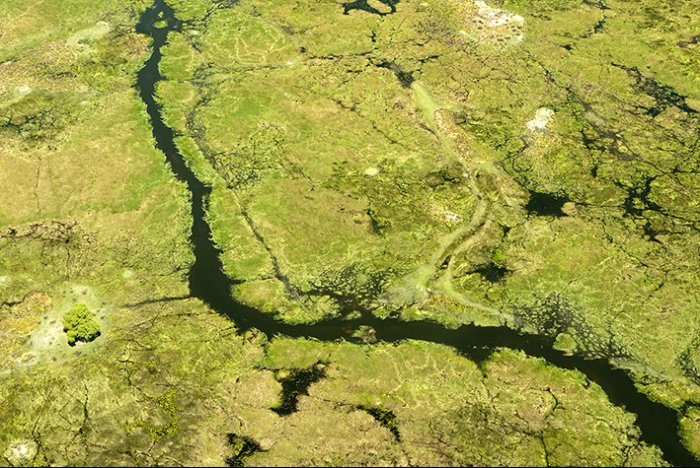 Delta del Okavango - Parque Nacional de Moremi  - Botswana