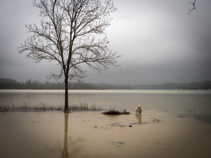 Lake Banyoles - Girona - Spain