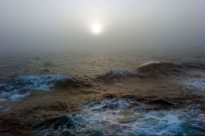 Historias del Mar: protegiendo los océanos