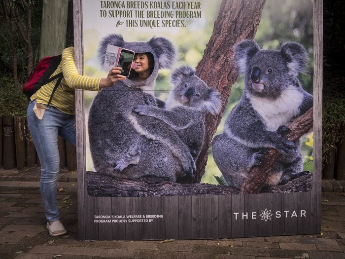 CIRCUM / Olympus - SYDNEY - Australia - Taronga Zoo