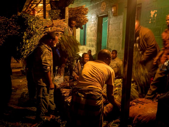 Ethiopia - Harar - Khat sellers