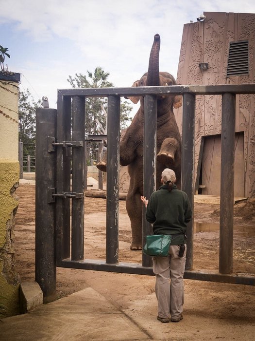 CIRCUM / Olympus - SYDNEY - Australia - Taronga Zoo