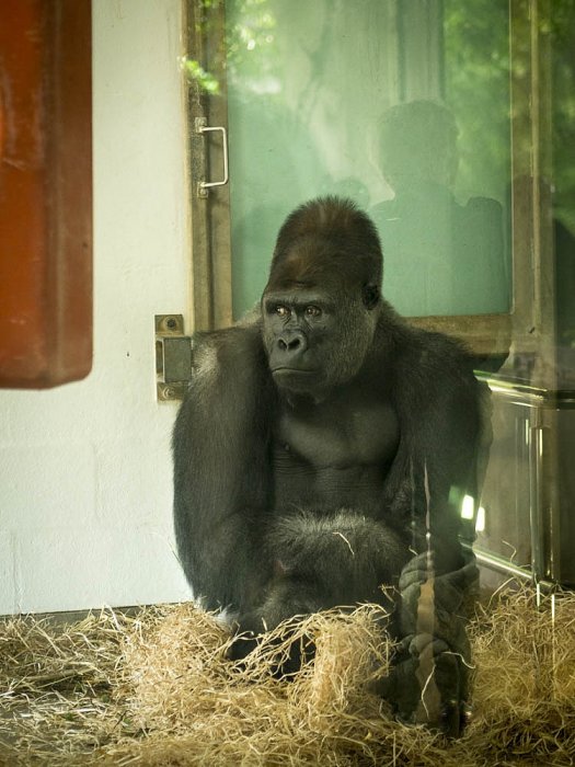 CIRCUM / Olympus - SYDNEY - Australia - Taronga Zoo