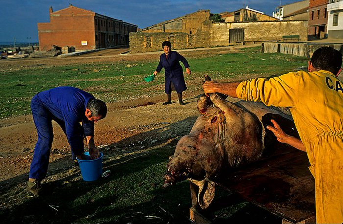 Deleitosa - Extremadura - España