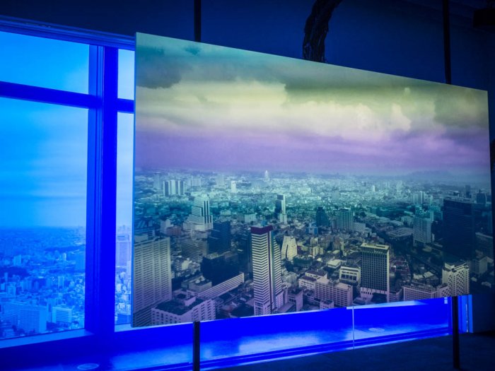 Tokio íntimo - Vista de la ciudad desde la Mori Tower