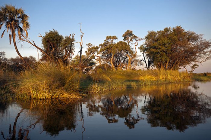 Okavango Delta - Moremi National Park - Eagle Island Camp - Botswana