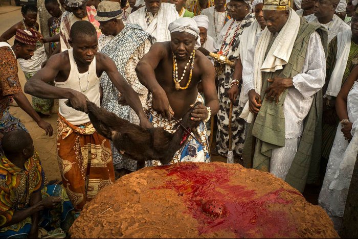 OUIDAH - Benín - África - Festival de Vudú