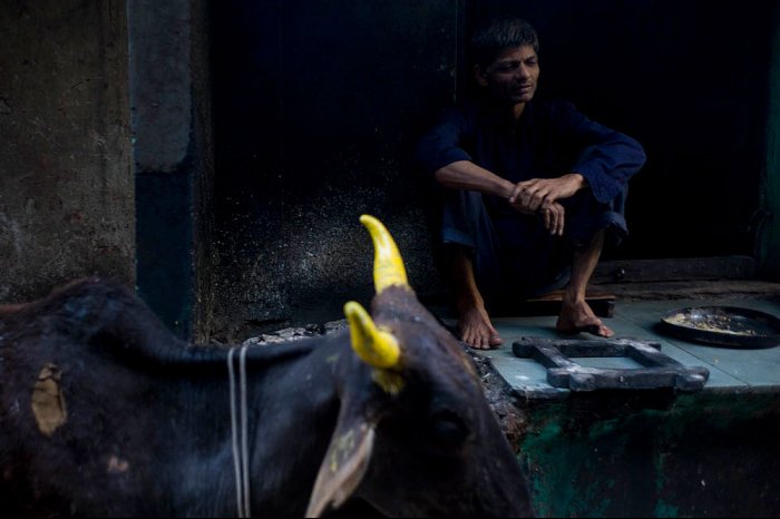 INDIA - PUSHKAR