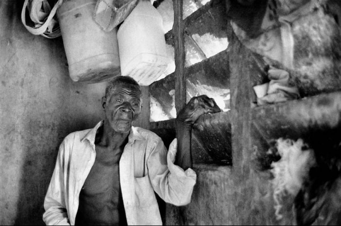 Dominican Republic - Sugar Cane Harvest - Batey 8