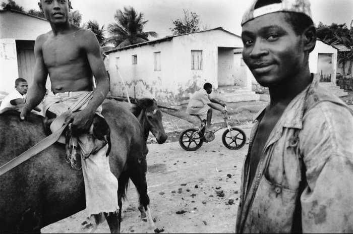 Dominican Republic - Sugar Cane Harvest - Batey 8