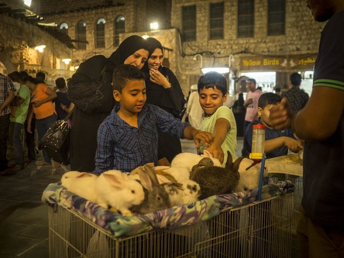 CIRCUM / Olympus - DOHA - QATAR - Souq Waquif