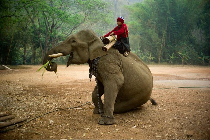 CHIANG DAO - TAILANDIA