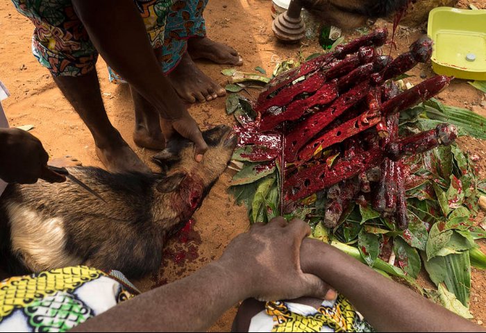 OUIDAH - Benin - Africa