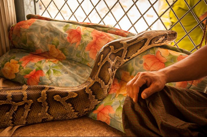 Birmania - Myanmar - Bago - Snake Monastery