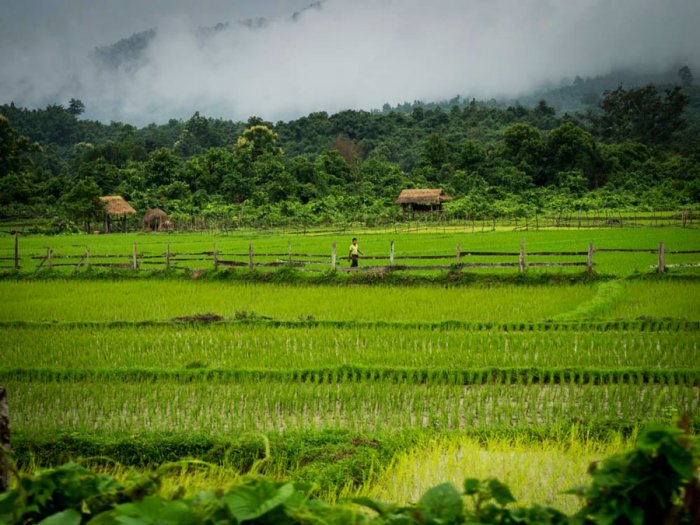 Road to Mandalay - Crucero por el Irawadi (Myanmar)