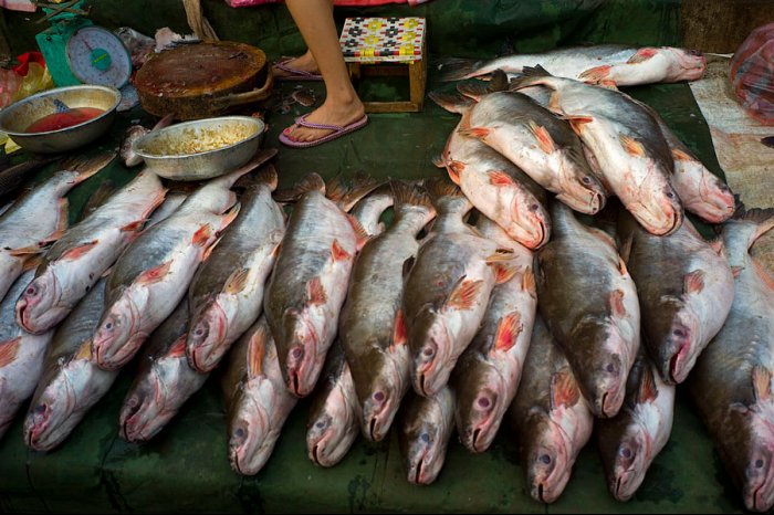 VIENTIANE - LAOS