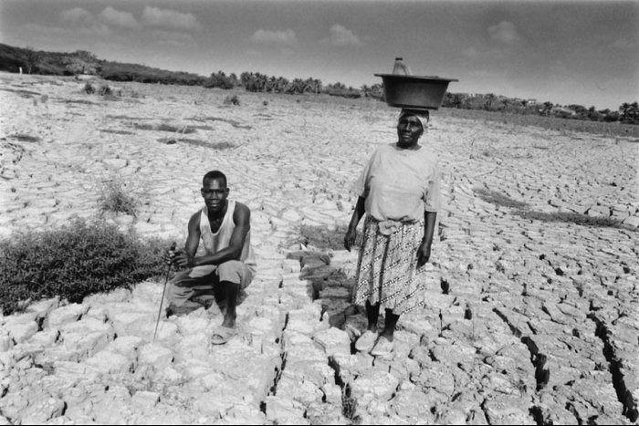 Dominican Republic - Sugar Cane Harvest - Batey Central