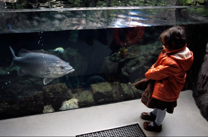 Portugal - Lisbon - Oceanario