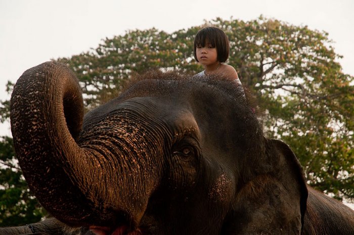 AYUTTHAYA - TAILANDIA