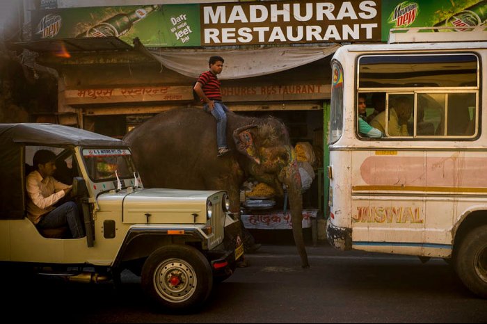 INDIA - Rajastan - JAIPUR