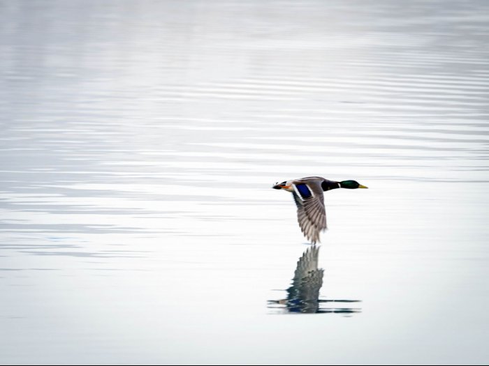 Lake Banyoles - Girona - Spain