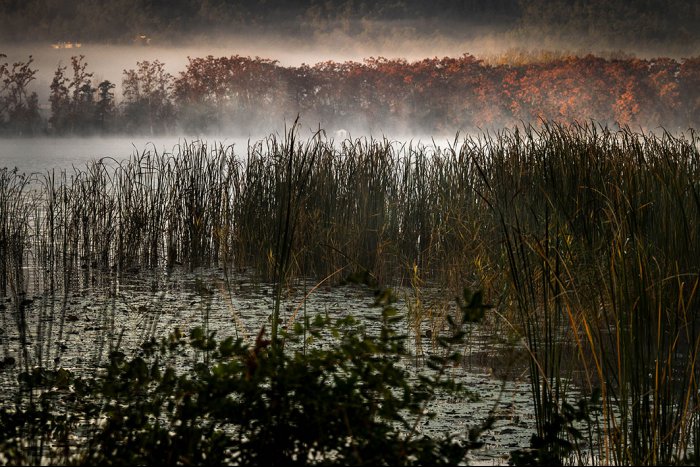 Lago de Banyoles - Girona - España