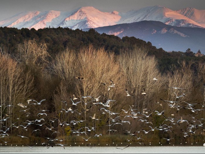 Lake Banyoles - Girona - Spain