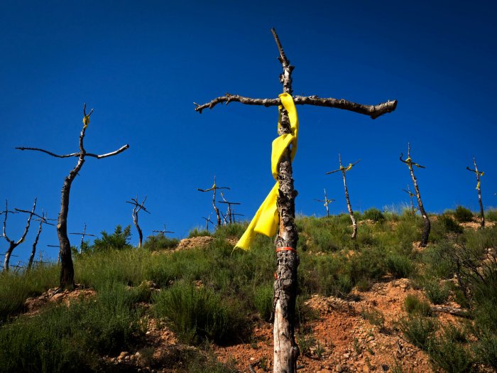 Paisajes evanescentes, la revolución del amarillo