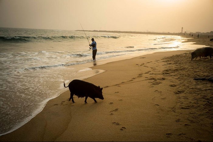 COTONOU - Benin - Africa - Enangnon Beach