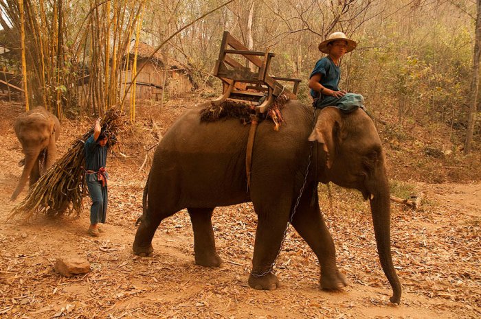 CHIANG DAO - TAILANDIA