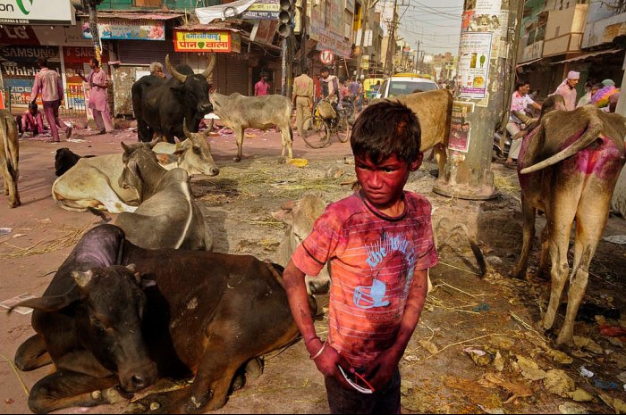 INDIA - MATHURA - Uttar Pradesh - Holi Festival