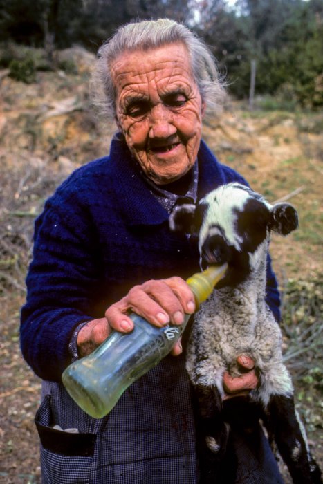 Vida rural en Cataluña