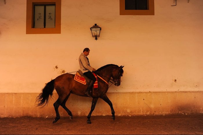 Spain - Jerez de la Frontera - Cadiz - Andalusia