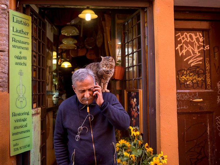 Roma -  Trastevere - Vicolo del Cedro - Italia