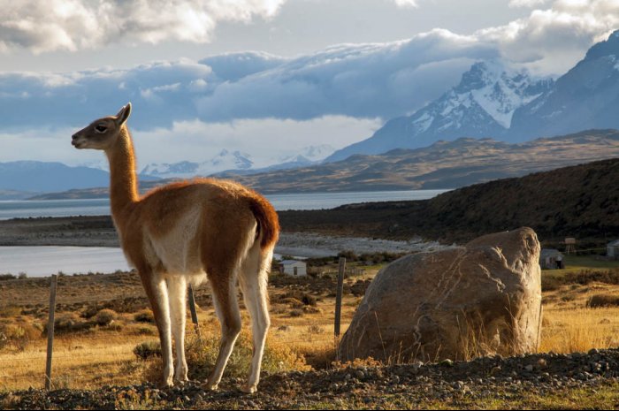 Patagonia, crossing the Andes