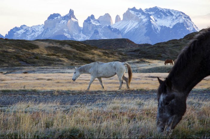 Patagonia, crossing the Andes