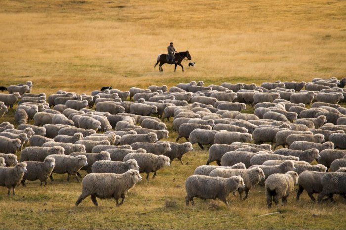 Patagonia, crossing the Andes