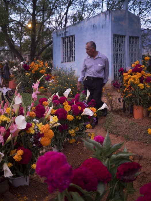 Oaxaca-México-Día de Muertos