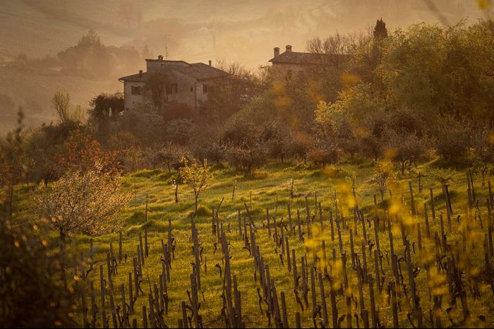 Toscana - San Gimignano - Italia