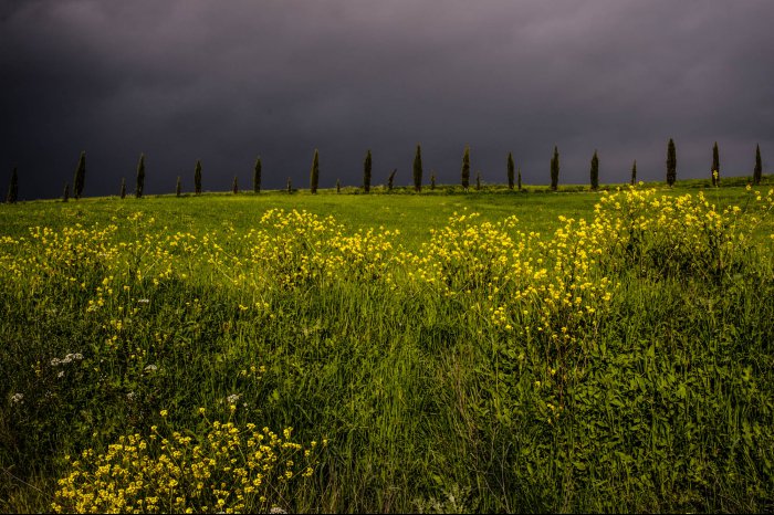 Toscana - San Quirico D'Orcia - Italia